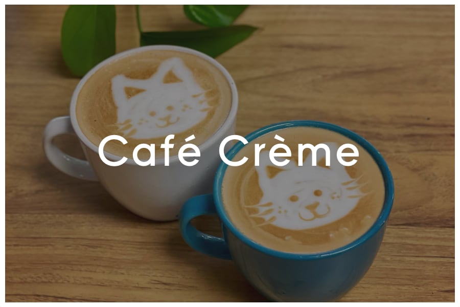 <span>Café Crème<br><br>1834 E Oltorf Street<br>Austin, TX 78741<br><br>(512) 710-9473</span>